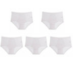 Plus Size High Waist Leak Proof Ice Silk Panties