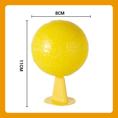 ⏰🎁Sticky Fruit Fly Trap Ball with Stand & LED